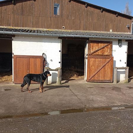 Le Gite Du Galou Sully (Calvados) Exterior foto