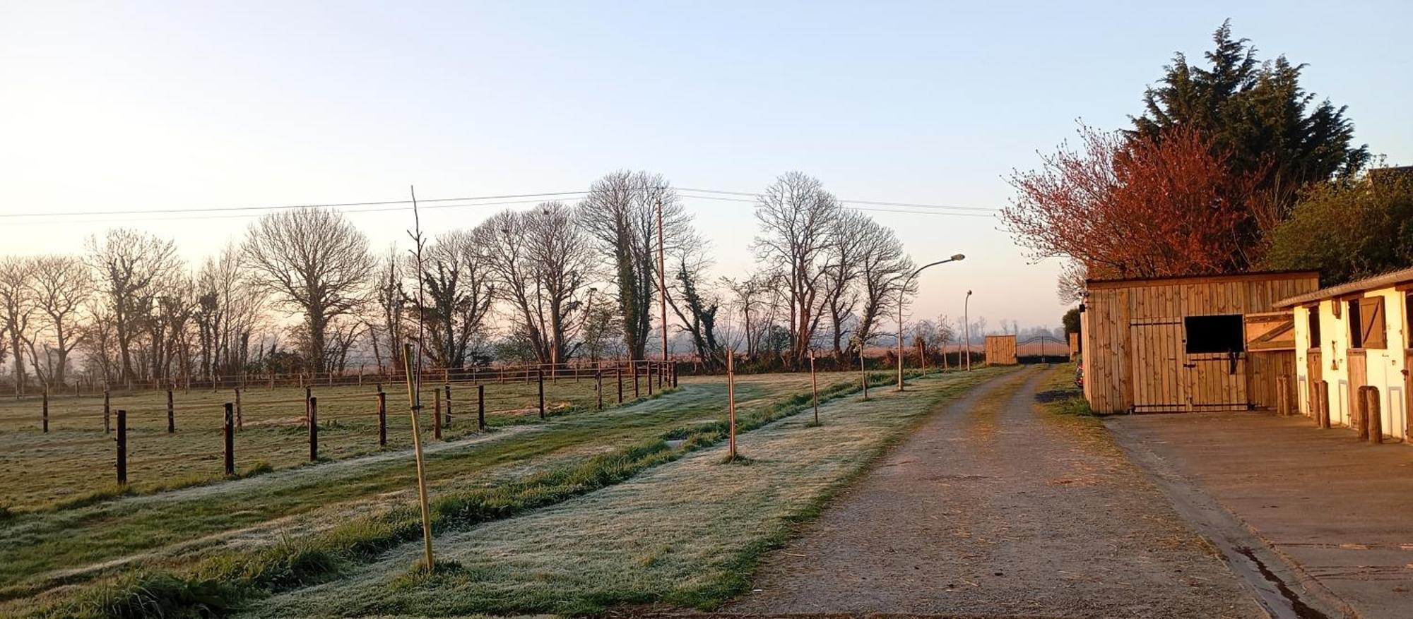 Le Gite Du Galou Sully (Calvados) Exterior foto